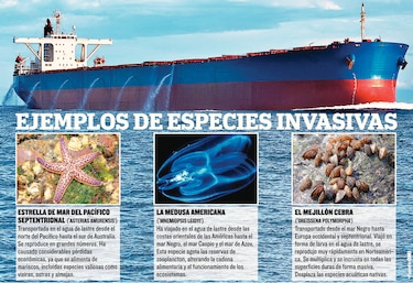 Inversión por el medio ambiente