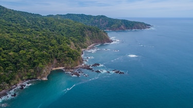 El costo humano del ambientalismo selectivo