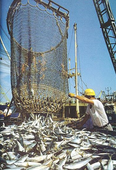 Organización ecologista Oceana denuncia altos subsidios de la UE a la pesca