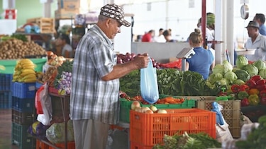 Producción agrícola caerá por la sequía