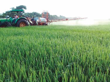 $18 millones más para subsidio al arroz