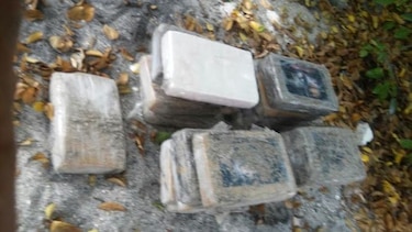 Policía Nacional se incauta de 72 kilos de supuesta cocaína