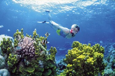 Australia crea la mayor red de reservas marinas del mundo