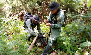Miambiente detecta minería ilegal en Sabanitas, Colón