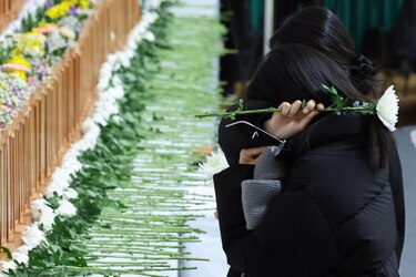La aerolínea surcoreana Jeju Air reporta 67,000 cancelaciones tras su accidente del domingo