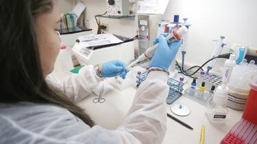 Médicos y docentes, las labores del futuro: BID