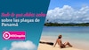 Disfruta del mar y desconecta