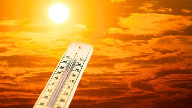 Contra el cambio climático