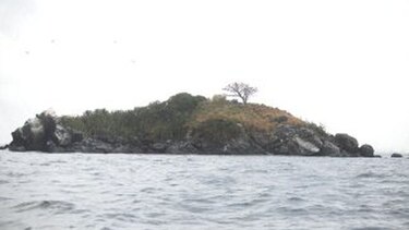 El comprador de islas y sus espinosos vínculos