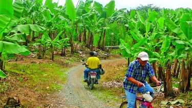 Del Monte recibe respuesta del Ejecutivo