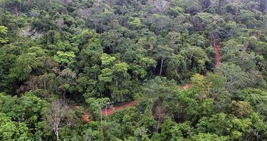 Alemania ayuda a Centroamérica a detener la destrucción de sus bosques