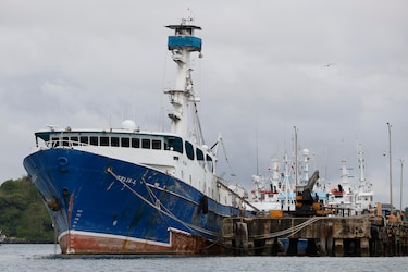 Unión Europea auditará a Panamá este año; el país busca la tarjeta verde de la pesca 