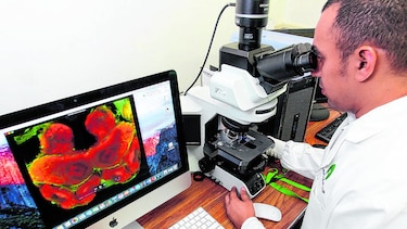 La ciencia requiere más apoyo
