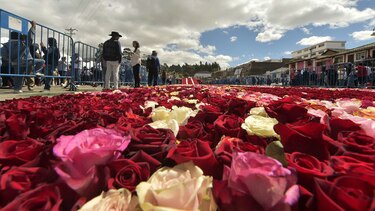 Ecuador busca nuevo título Guinness con arreglo de 500 mil rosas