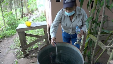 Se reportan 6 mil 288 casos de malaria en el país