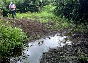 Advierten sobre poca agua en fincas productoras