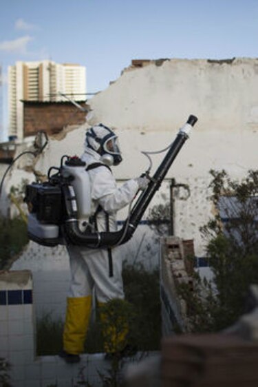 Lo que tiene que saber del virus zika en América Latina