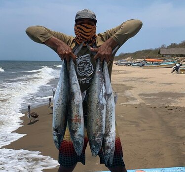 Pescadores de Pedasí apoyan a comunidades de tierra firme con marisco
