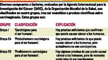A moderar el consumo de la carne