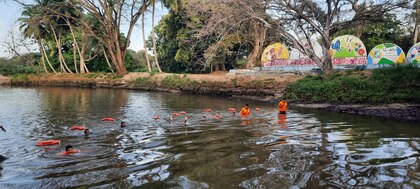 Sinaproc desplegará 448 unidades en ríos, playas y áreas de culecos durante el Carnaval