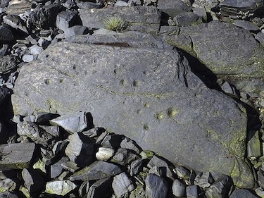 Descubren trampa de peces prehistórica en isla de Alaska
