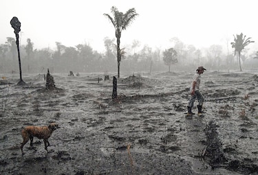 Cien países se comprometen a poner fin a la deforestación en el tercer día de la COP26