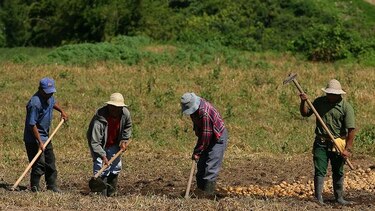 Efectuarán caravana para pedir el rescate del sector agropecuario
