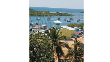 Formarán Cámara de Comercio  en costa arriba  