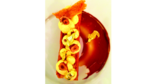 COCINA GOURMET: Con el sabor casero