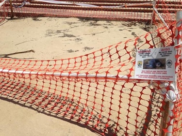 Ambientalistas piden proteger desove de peces y arrecifes en Caribe