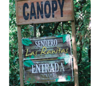 Declaran desierta subasta de ‘canopy’ de Isla Taboga