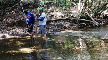 Ministerio de Ambiente: Situación de los ríos de Herrera es crítica