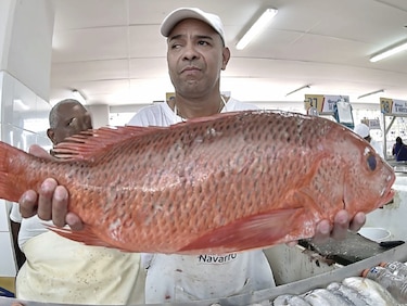 Prohíben pesca de pargo con trasmallos 