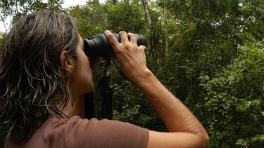 Una cita de 24 horas para contar aves
