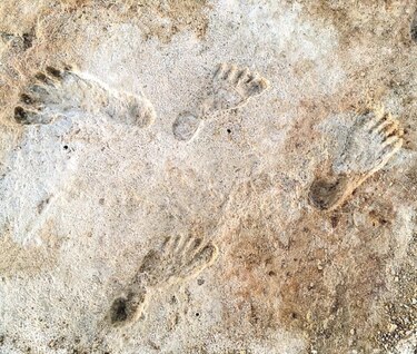 Huellas de 23 mil años reescriben la historia humana de América
