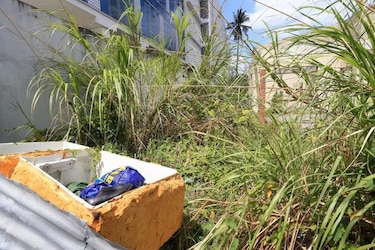 Minsa declara todo el país zona epidémica por dengue