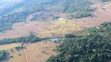 Las monumentales construcciones escondidas en la Amazonía recién descubiertas por científicos