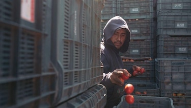 3 efectos que pueden tener los aranceles que Trump impuso a los tomates mexicanos