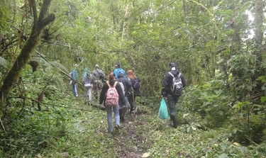 Ministerio de Ambiente restringe acceso al parque nacional Volcán Barú por mal tiempo
