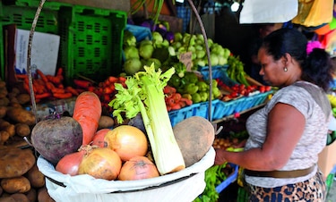 Productos agrícolas subirán de precios
