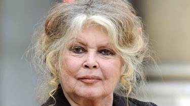 Brigitte Bardot denuncia plan de matanza de dos millones de gatos en Australia