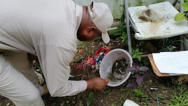 Dengue: Minsa reporta 2 mil 483 casos confirmados en todo el país  