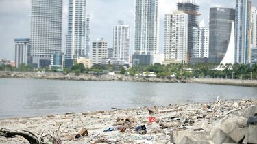 Seis empresas interesadas en estudio de playas