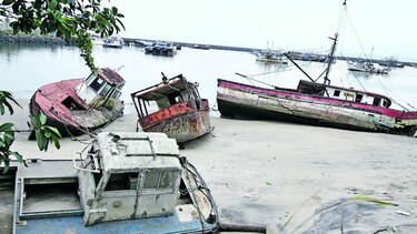 Contaminación de los mares, nuevo reto ambiental del país