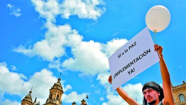 Las FARC vuelven a pedir perdón por crimen de diputados