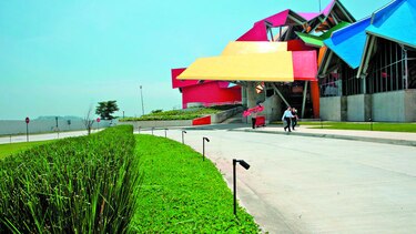 Biomuseo dedica el mes de agosto a los anfibios