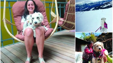 Fito, el perro que enseña a otros a viajar