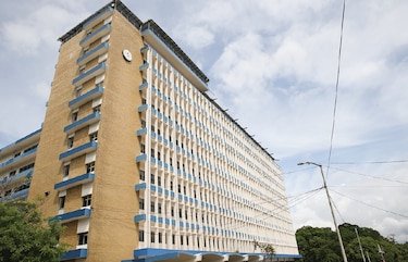 Detectan brote de comején en depósito del Complejo Hospitalario Dr. Arnulfo Arias Madrid