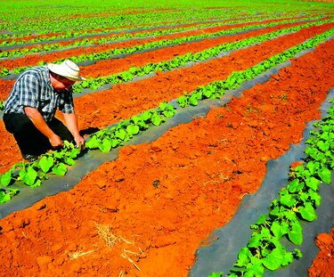 Caen las exportaciones panameñas 11.9% durante el primer trimestre de este año