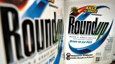 Monsanto y sus polémicos excesos en la agroquímica